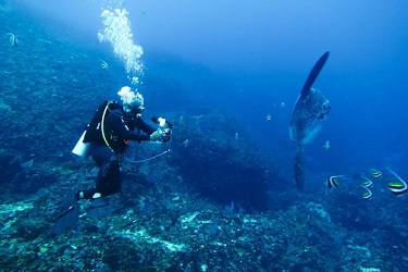 Discover Scuba Diving