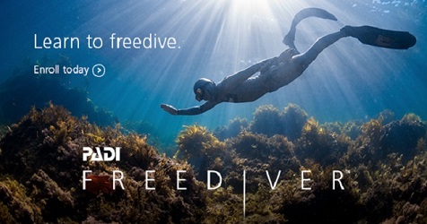 Basic Freediver
