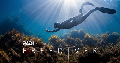Free Diver