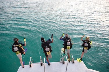 PADI Seal Team