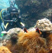 Bunaken
