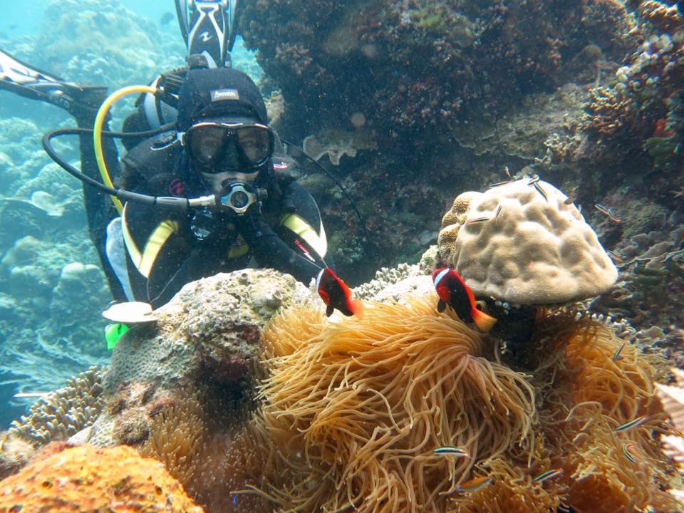 Bunaken National Park is a marine park in the north of Sulawesi island, Indonesia. the park is terrestrial, including the five islands of Bunaken, Manado Tua, Mantehage, Nain and Siladen. The southern part of the Park covers part of the Tanjung Kelapa coast.