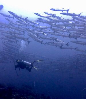 Derawan
